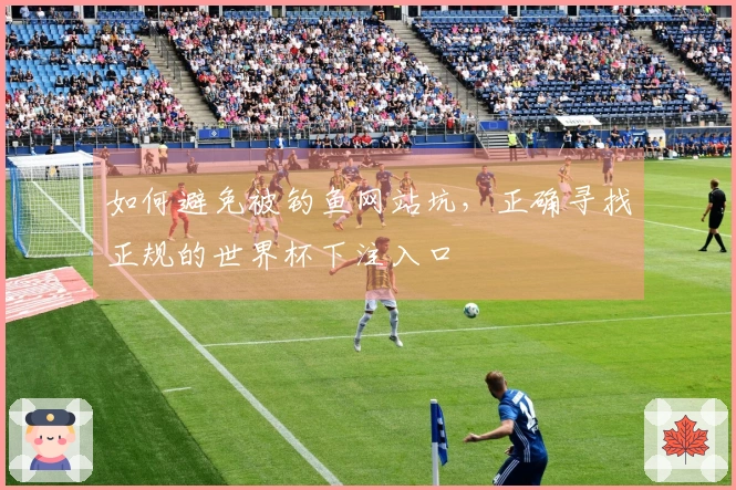 如何避免被钓鱼网站坑，正确寻找正规的世界杯下注入口