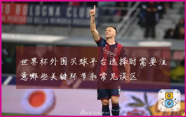 世界杯外围买球平台选择时需要注意哪些关键环节和常见误区