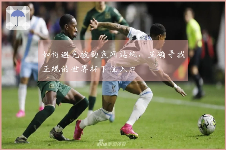 如何避免被钓鱼网站坑，正确寻找正规的世界杯下注入口